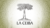 Proyecto Sello Disquero La Ceiba