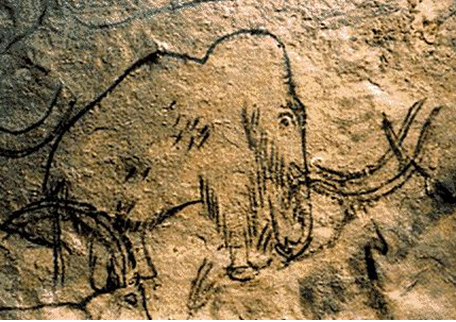 Durante 300.000 años, los mamuts ocuparon amplias zonas de Eurasia y Norteamérica