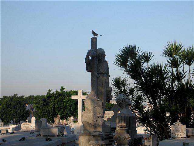 Cementerio de Colón /  Fotos: Alexis Rodríguez