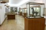 Museo Antropológico Montané de la Universidad de La Habana