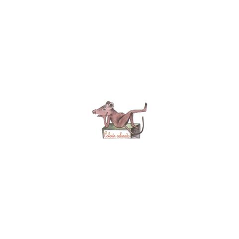 ratoncito