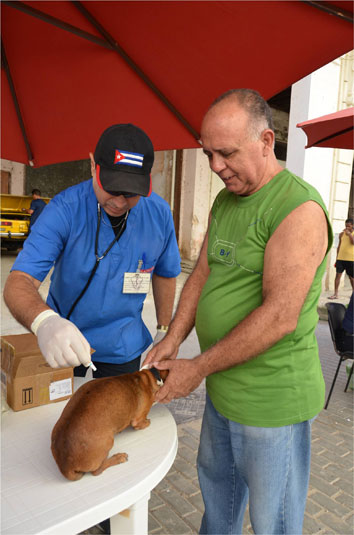 Fernando Gispert, director de la clínica veterinaria Laika de La Habana Vieja
