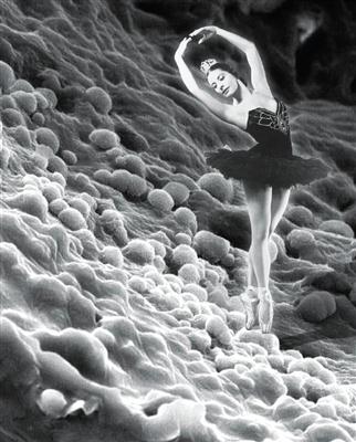 Microscopía electrónica del canal medular del hueso de un conejo, con inserción digital de una foto de la prima ballerina assoluta Alicia Alonso