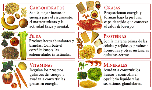 alimentos