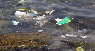 Arrojados al mar, los plásticos, además, absorben sustancias  contaminantes que los convierten en peligroso veneno