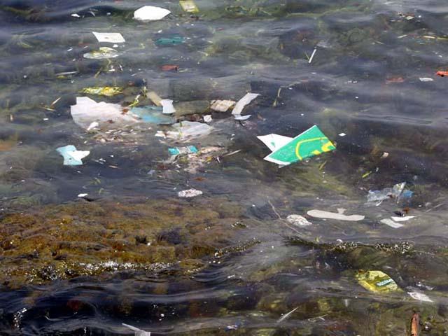 Arrojados al mar, los plásticos, además, absorben sustancias  contaminantes que los convierten en peligroso veneno