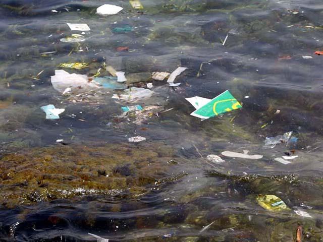 Arrojados al mar, los plásticos, además, absorben sustancias  contaminantes que los convierten en peligroso veneno