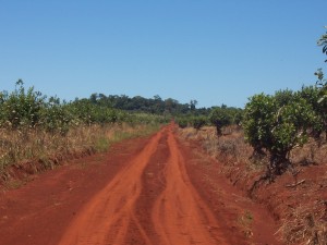 Tierra roja