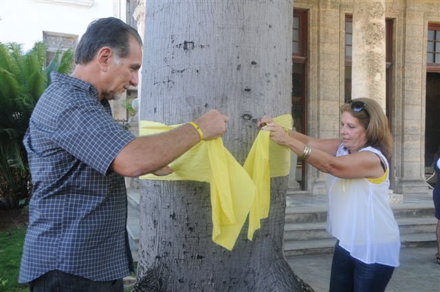 El Héroe de la República de Cuba, René González Sehwerert, exhortó hoy a los habaneros a llenar de cintas amarillas la capital de Cuba, luego de colocar una banda amarilla alrededor de la ceiba que, en el Templete del Centro Histórico, marca el sitio fundacional de La Habana.