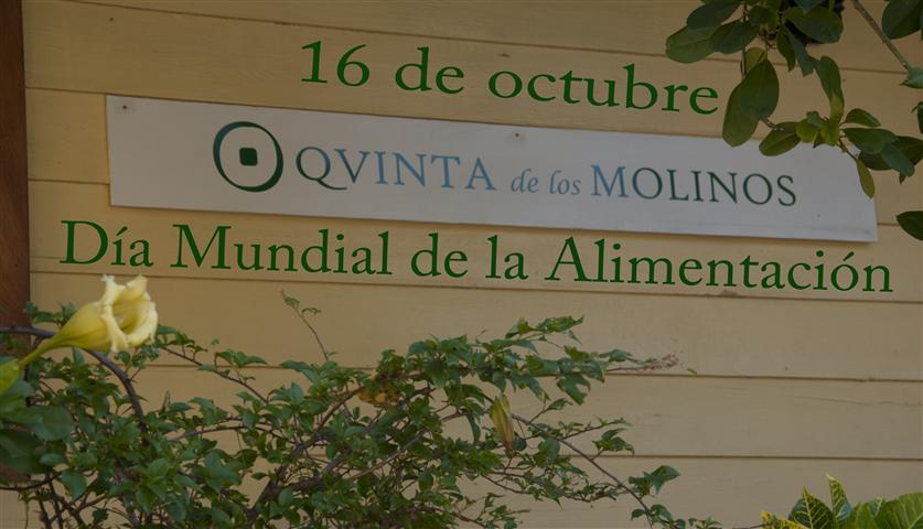 Quinta de los Molinos