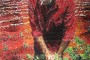 El Abuelo