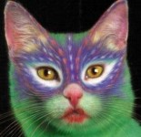 gato-maquillado