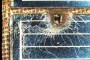 Figura impacto de basura espacial sobre un panel solar del telescopio espacial Hubble (Foto: ESA)