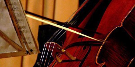 violonchelo2_0