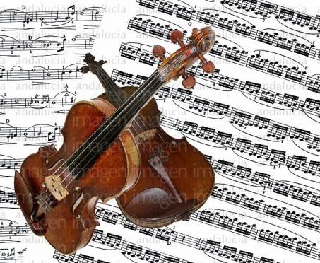 musica culta