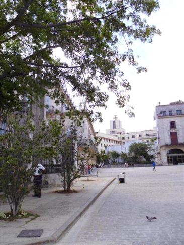 1-calle Baratillo (Custom)