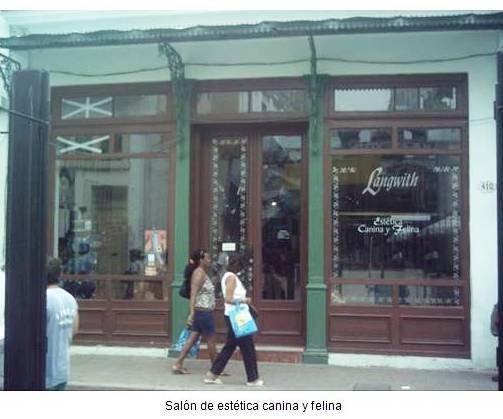 4-T. Langwith-comercio de estética canina (Custom)