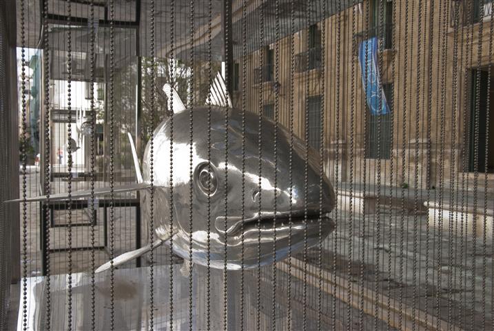 expo peces 7 (Small)