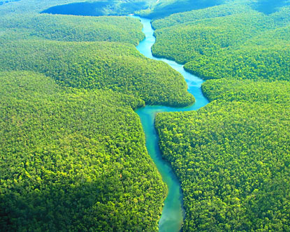 rc3ado_amazonas