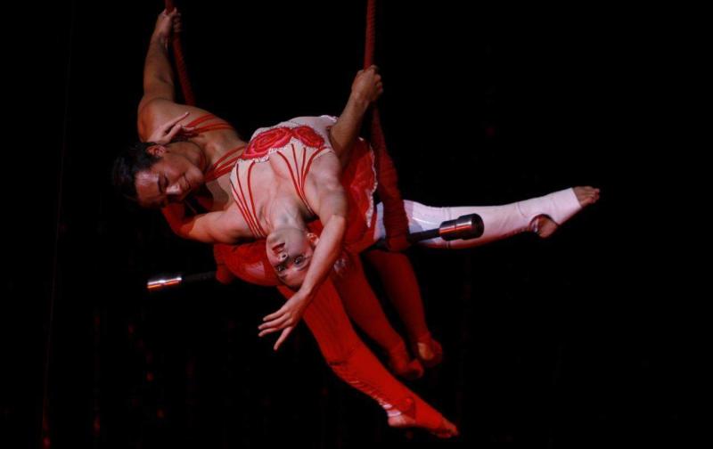 circuba1