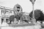 5-El Prado, detalle, los leones, 1929