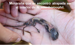 2014-10-28 12-06-02_16