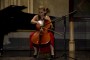 cello plus daniele valverde 3 (Medium)