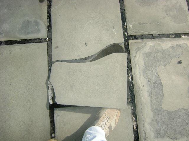 DSC01044 (Small)
