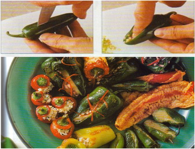 2015-01-08 11-12-54_Los chiles diciembre 2014