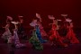 ballet español de cuba 30 (Small)