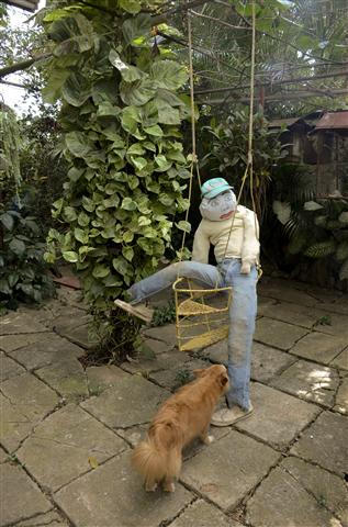 tradiciones 14 (Small)