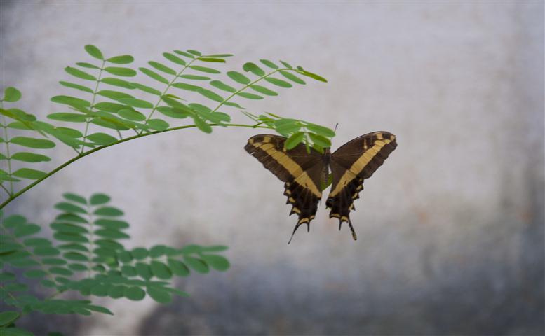 Foto 2 (Small)
