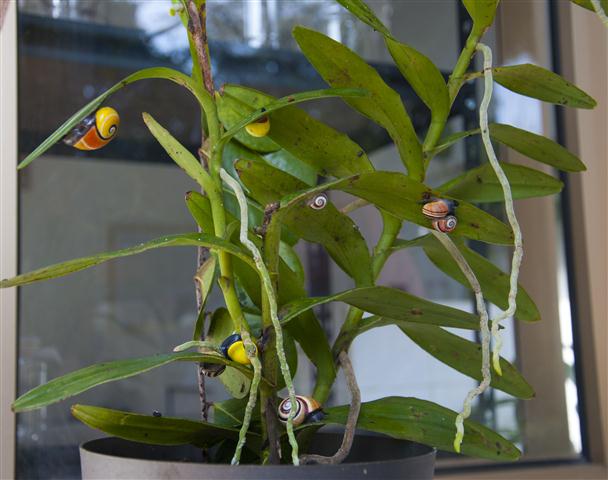 Foto 5 (Small)