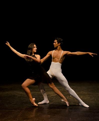 ballet 1 50 x 60 (Small)