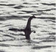 2015-06-05 15-54-50_32  Una mirada al mundo de la Cryptozoología y los animales críptidos  mayo 15 -