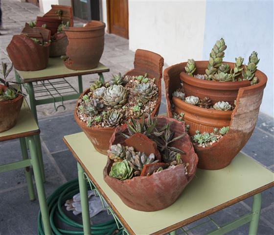Antiguas macetas rotas recuperadas por el Taller de jardinería
