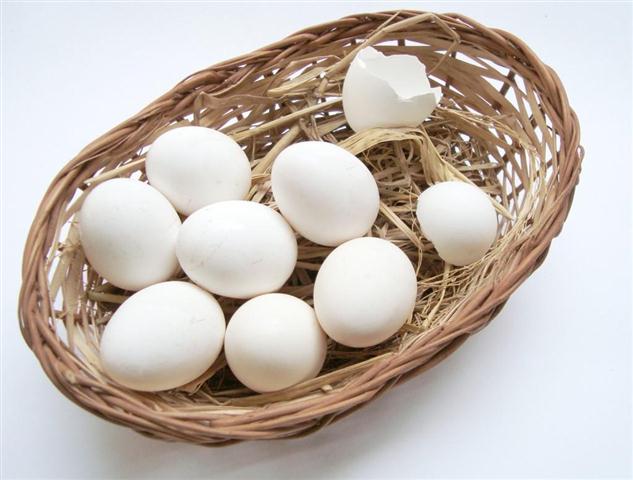 mito-el-huevo-aumenta-el-colesterol-L-VZLdUV (Small)