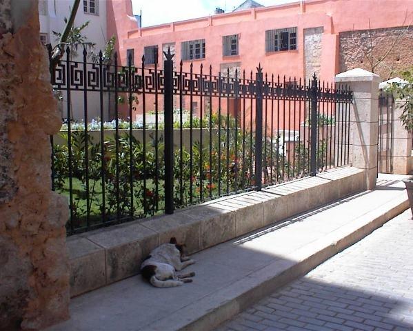 2-Jardin Las Carolinas después