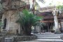 Salones (Small)