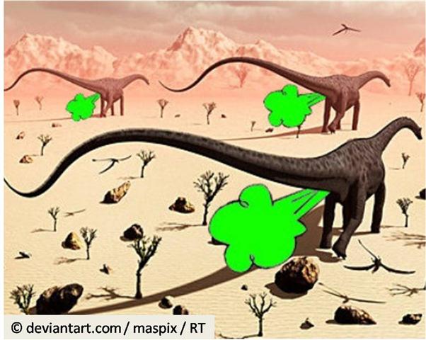 Imagen1 (Small)