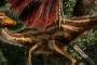 20121025010113ornithomimus-thumb.jpg__800x600_q85_crop (Small)