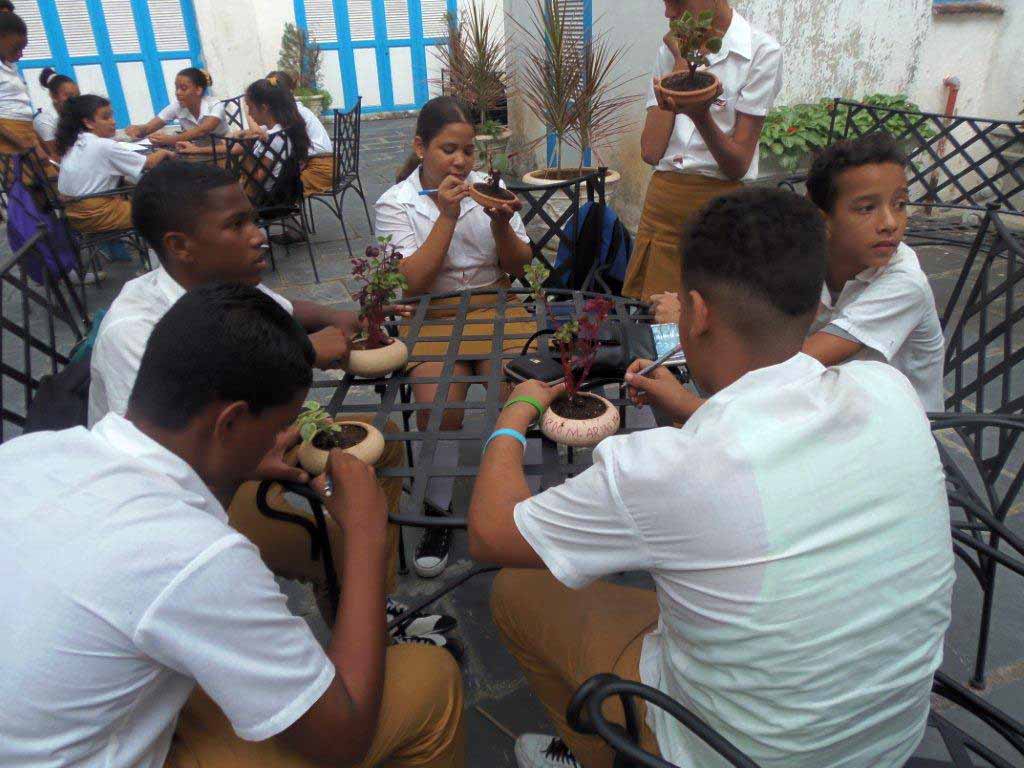 Creación conjunta entre los miembros de los talleres de Cerámica y Jardinería
