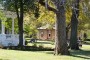 DSC_3316 (Small)