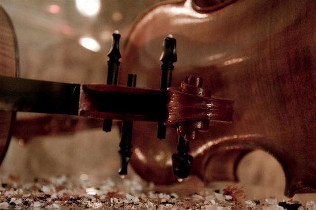 Luthier-2