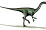 Segisaurus