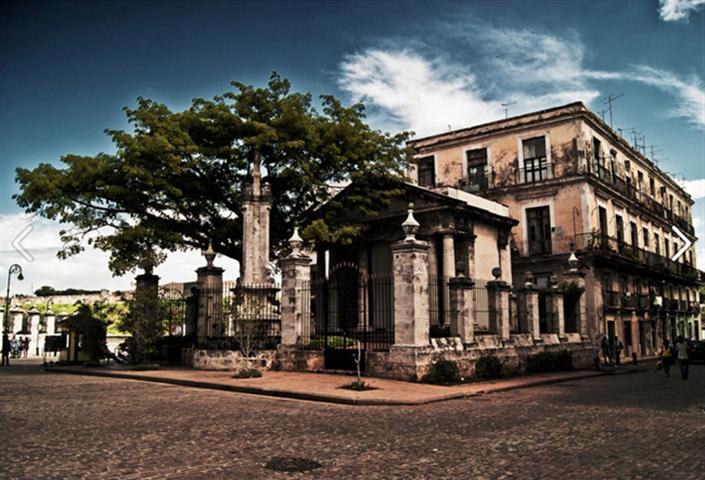 ceiba_down (Small)