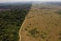 Aumenta-deforestacion-amazonia-5 (Small)