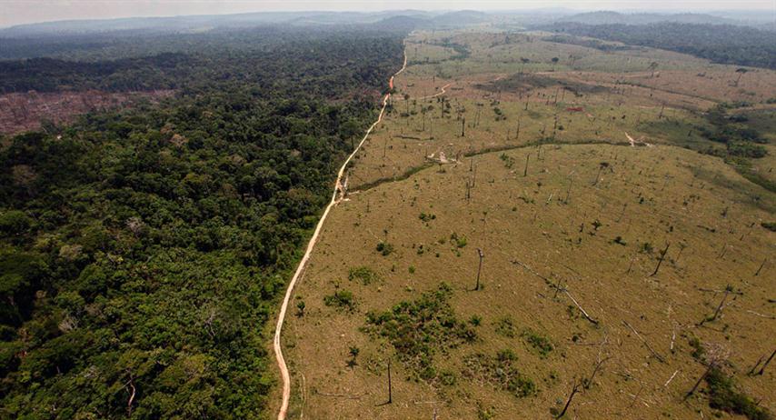 Aumenta-deforestacion-amazonia-5 (Small)