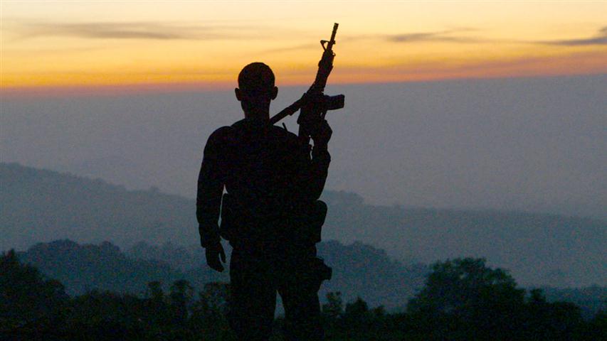 cartel-land (Small)
