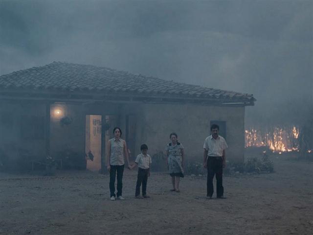 pelicannes-dest (Small)
